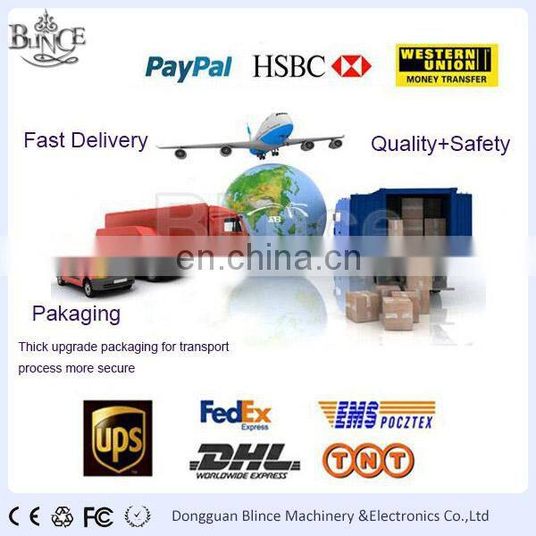 Blince PV2R2-53 China Hydraulic Pumps Hidrolic Pumps