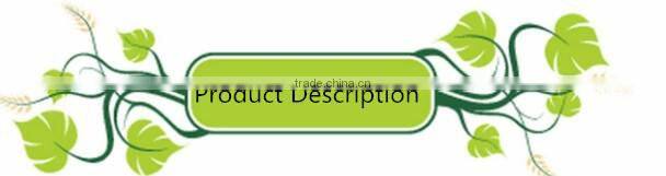 High output plastic cosmetic mist sprayer