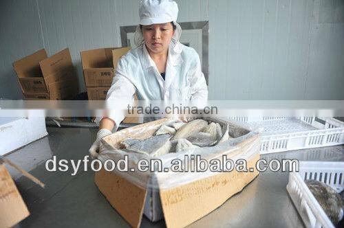 Frozen whole black pomfret fish