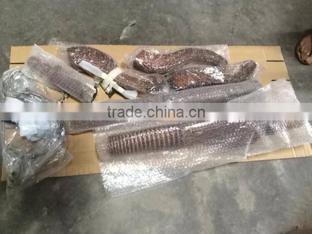 home furniture antique style rubber wood coat rack tree (S-12#) redwood