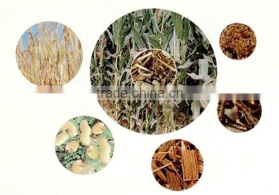 2016 high quality DZH series 2000kg/h wood burning boilers