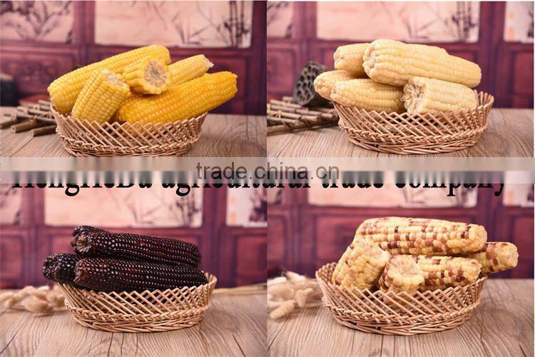 china supplier as gift for child yellow waxy corn