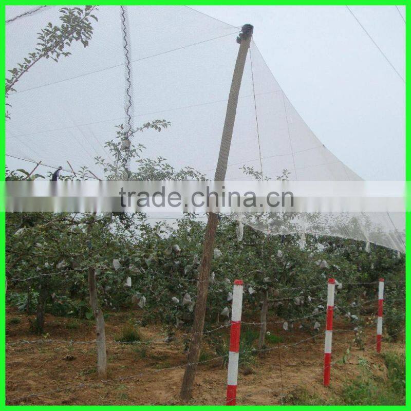 woven fabric PE guard hail mesh plastic fruit tree netting