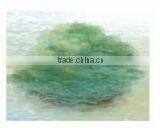 high quality cosmetic tonner for face skin care, women anti aging