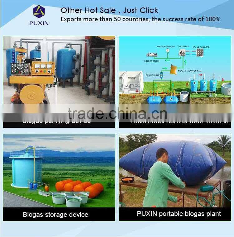 Puxin septic tank biogas power plant system for wastewater treatment