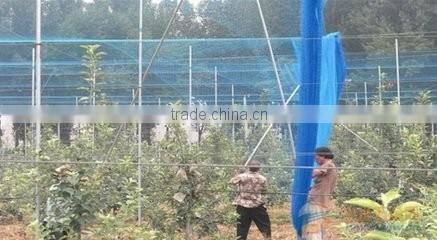 plastic BOP netting as Fruit cage/Anti bird net/Plant protection net