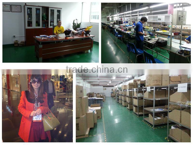 OEM ODM High-grade Lithium Talking Pen for Learning English