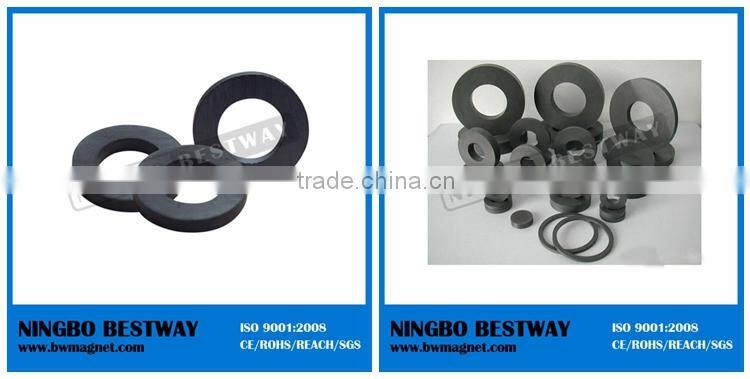 Y35 Customized Ferrite Magnet Rotor