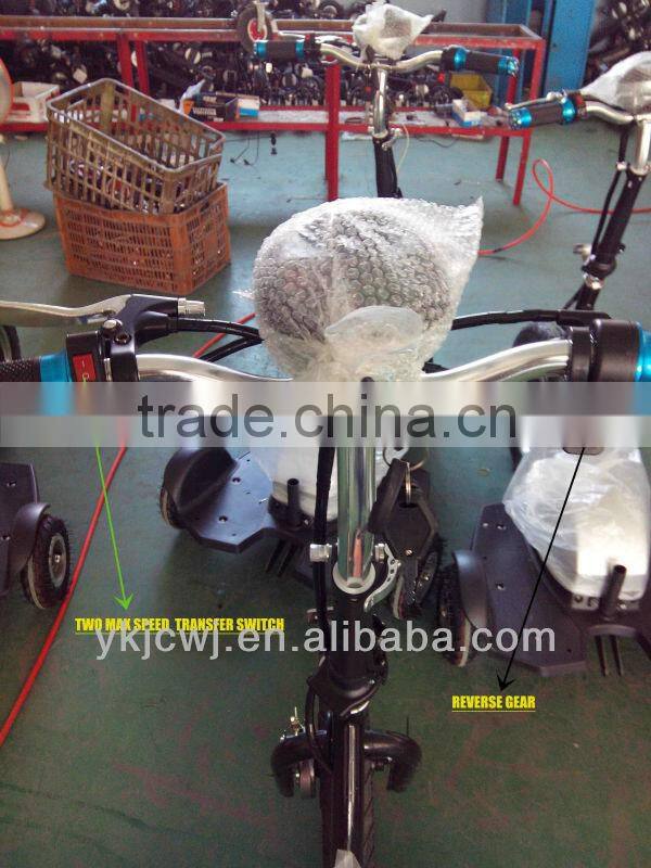 CE 350/500W motor triciclo/ motor electrico/triciclo electrico