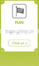 High Quality factory directly and lovely miniature wall flags