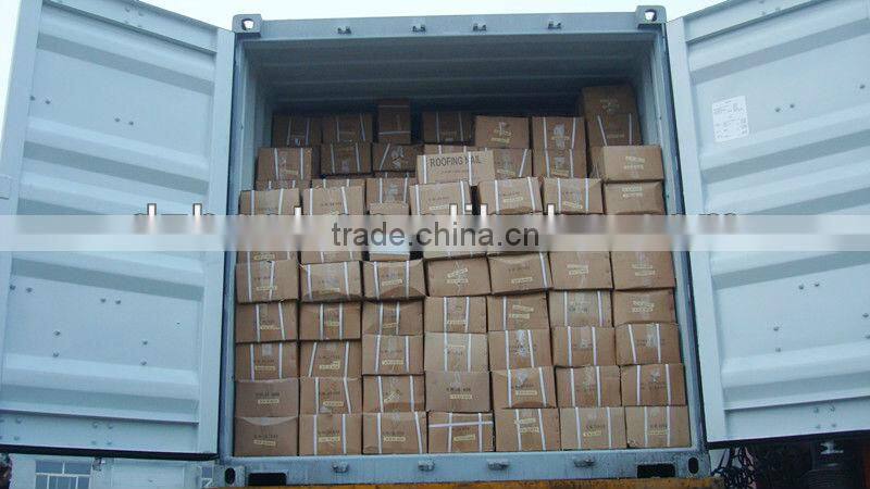 9 bwg eletro galvanized roofing nail with umbrella head