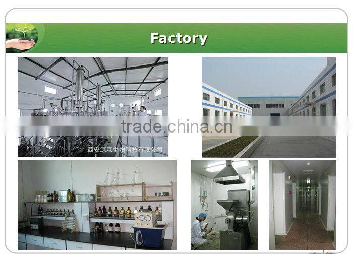 Epimedium powder icariin 50% 60% 80% 98% epimedium extract