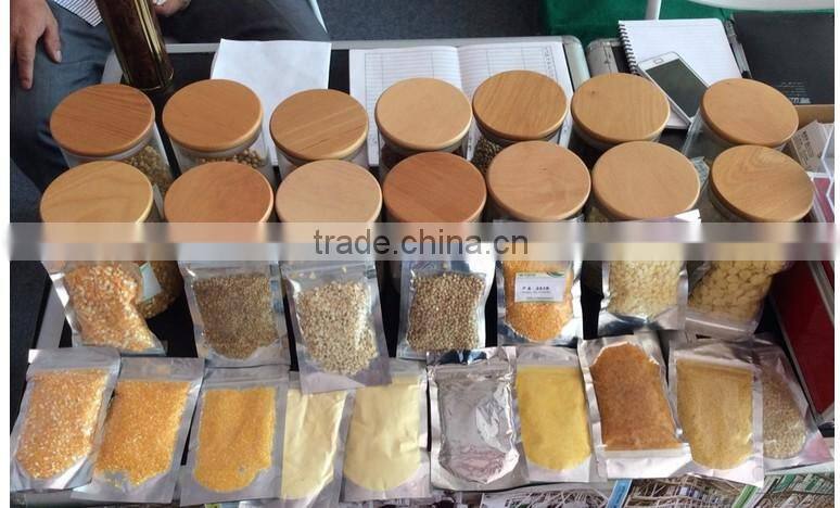 New Type high efficiency corn polishing machine