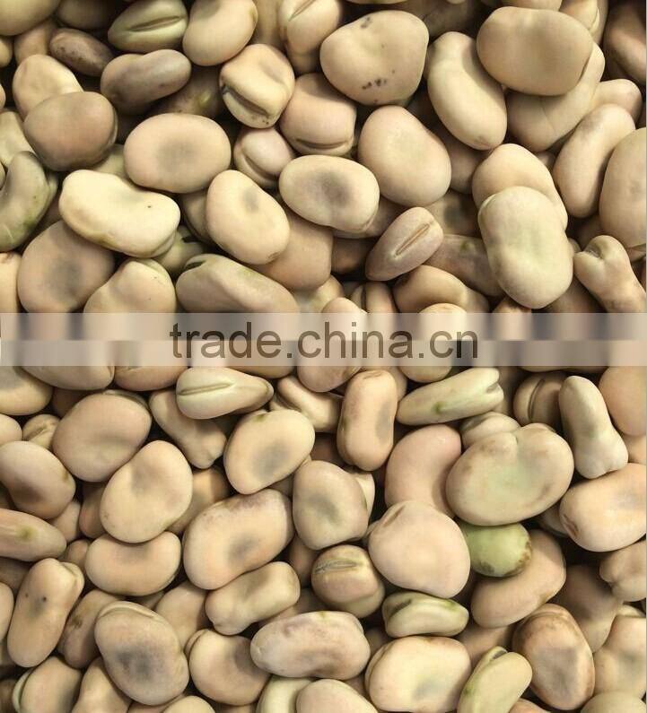 2014 crop Dried Broad Beans Split, peeled without shell