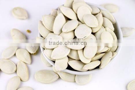 Snow White Pumpkin Seeds , Pumpkin Seeds in Shell