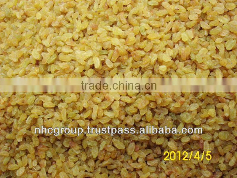 GOLDEN RAISIN (NEW CROP)