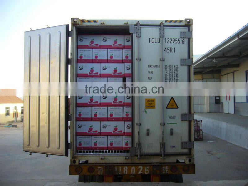 Yantai Fresh Sugar Apple for Sale