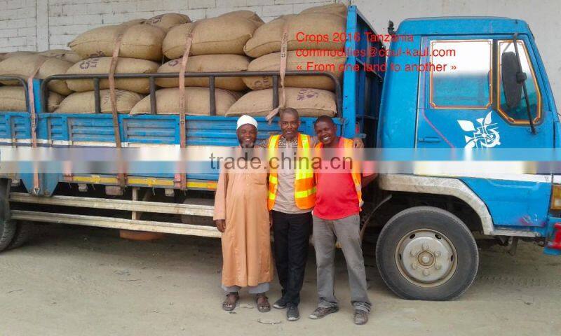 Very good Tanzania raw cashew nuts ( Tanzania contact: 255 682 294 635)