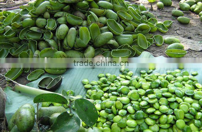 Best quality 98% 5-HTP