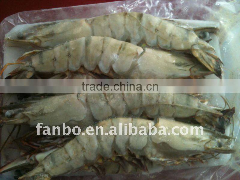frozen black tiger shrimp