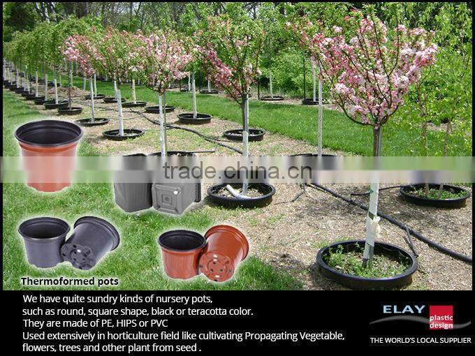 Planting tray