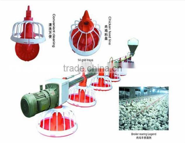 Automatic Chicken Feeding System/Automatic Feeding System For Chicken
