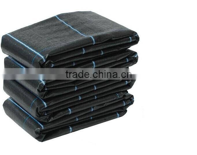 agricultural vegetable protective PP ground cover ,uv treated ,landscape pp woven fabric ,12*12