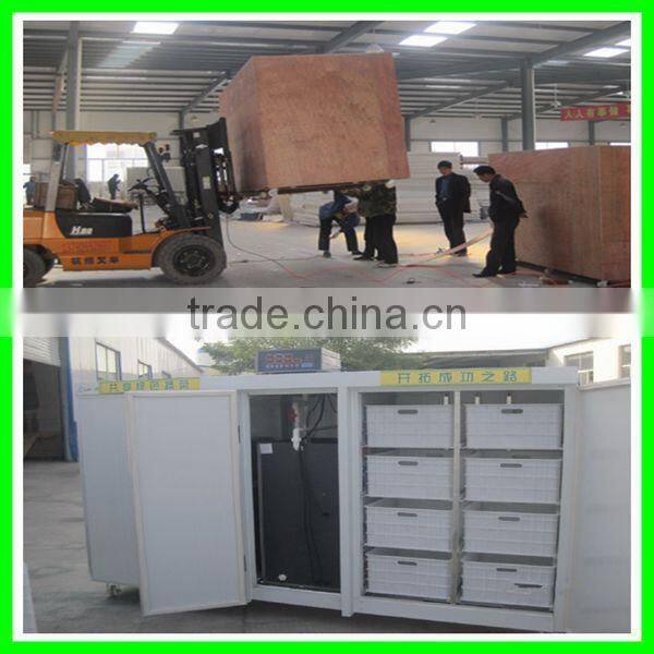 Lowest price automated bean sprouts machine with best service