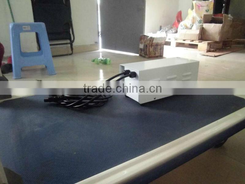 600W HID Magnetic ballast