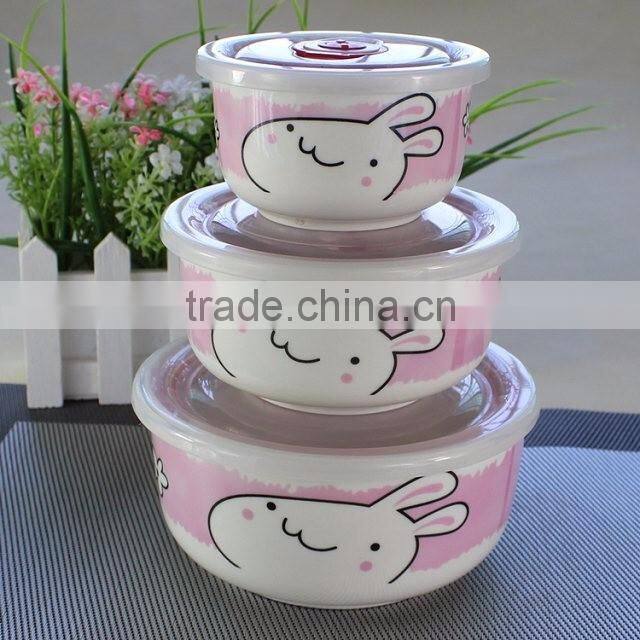 ceramic bowls with airtight lid