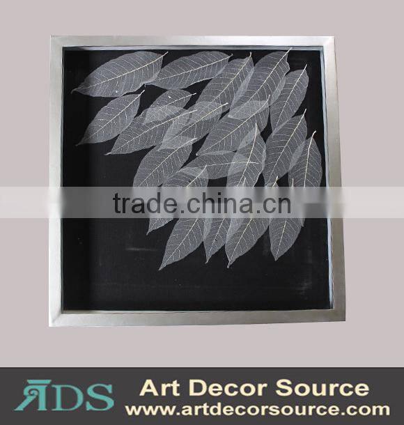 Marine Plants in Shadow Box Frame