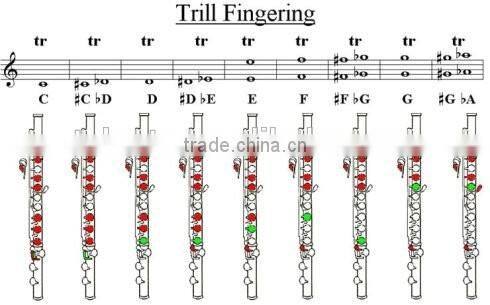 open hole C key metal flute for sale