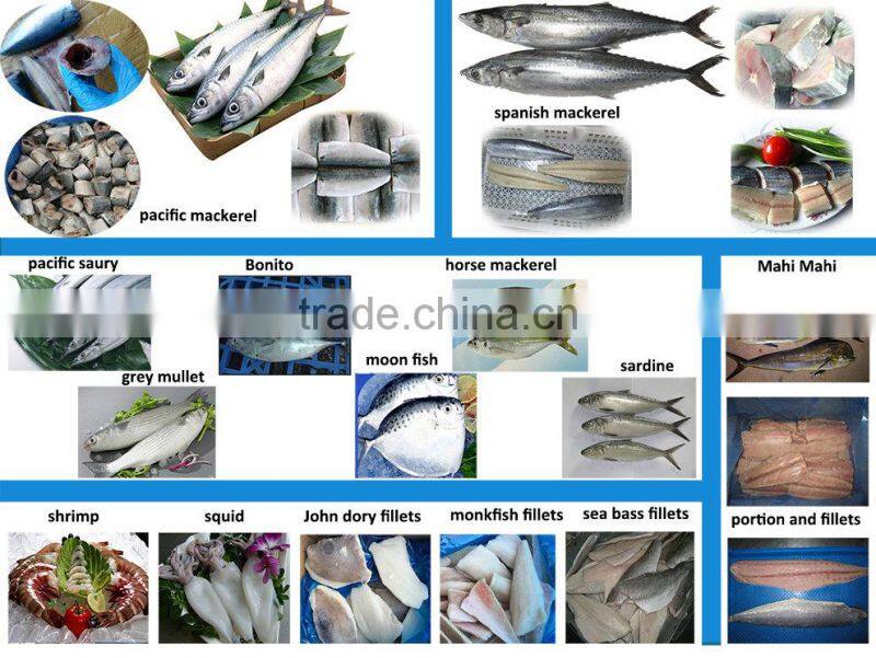 Frozen moonfish fillets