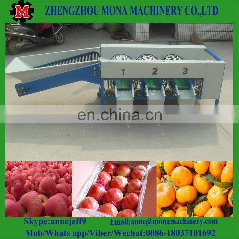 Fruit grading calibration size machine