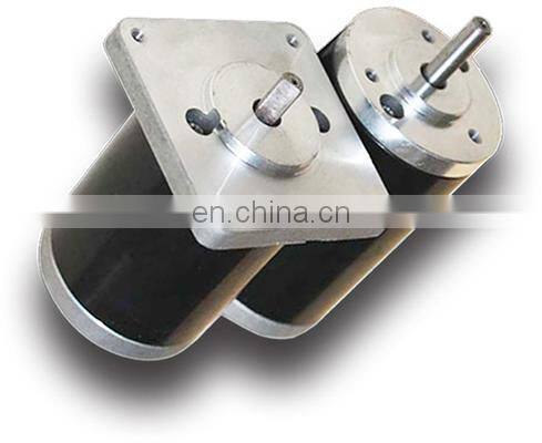 OD 40 mm high torque Permanent Magnet Brushed Dc Motor 12V 24V 48V power 10W 20W 30W