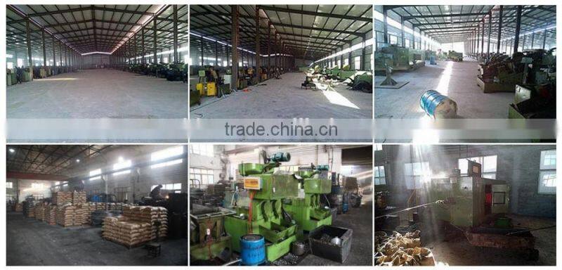 China high quality at competitive prices square head screw