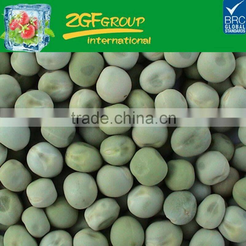 Hot Sale fresh and healthy kidney beans ( small pure kidney bean)