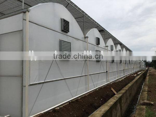 multi-span galvanized Aquarium Plant Greenhouse