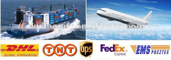 Hot selling RC drone with HD camera,GPS cameral drone,drone professional