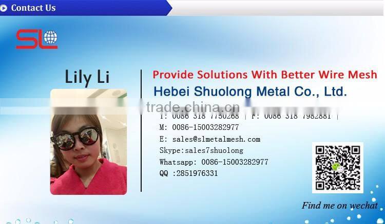 New style welded wire mesh Garden gabion baskets on line