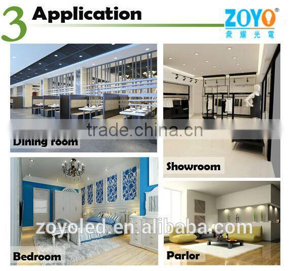 Shenzhen LED Downlight 6W 12W 24W 30W High Quality LED Downlight