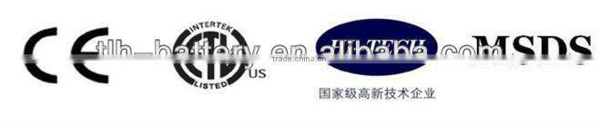 48v 20ah electric bike polymer li-ion battery for 1000W motor