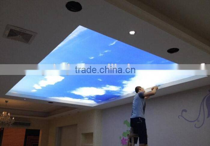 stretch digital indoor seiling material transparent soft film printer