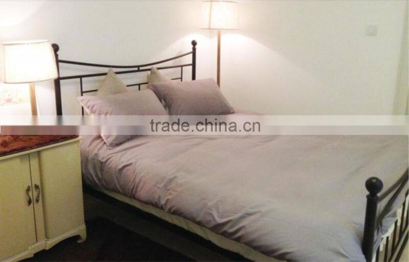 Contracted European style cheap unfold iron beddesigner stainless steel bed