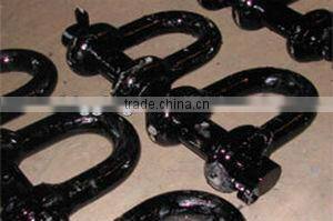 D Forelock Shackle Fitted with Oval Pin