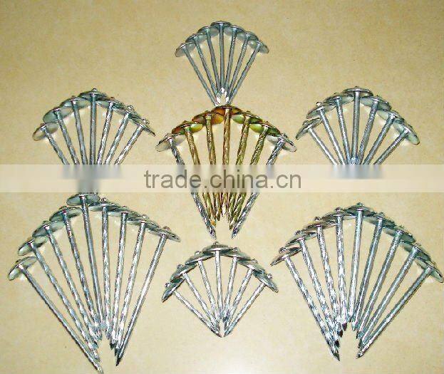 9gauge galvanized twist shank umbrella head roofing nail