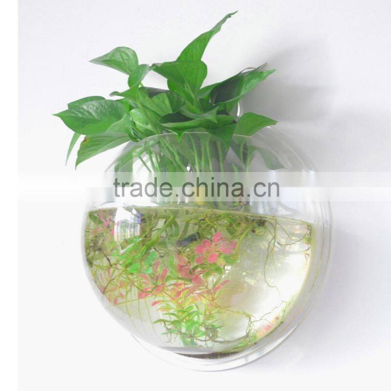 ecofriendly decorative wall mounted clear acrylic aquarium