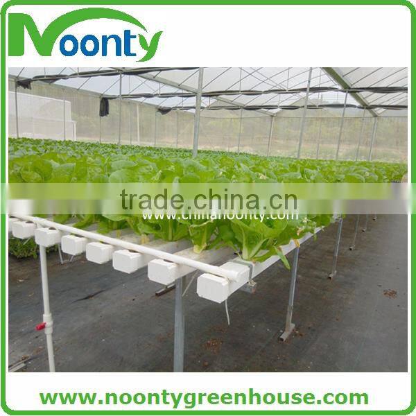 Hydroponics Greenhouse
