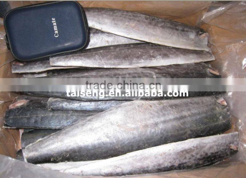 Spanish mackerel W/R for sale