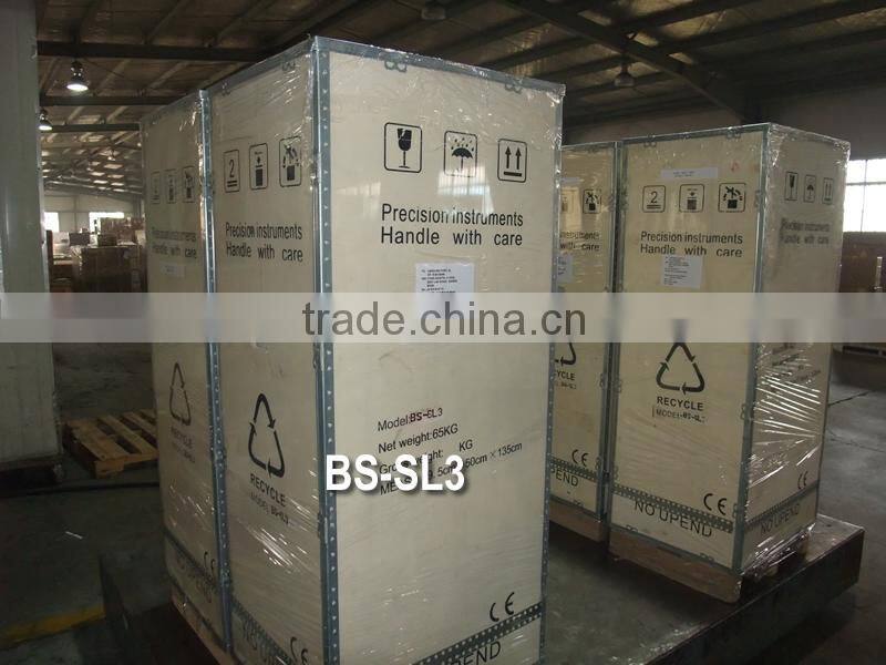 BS-SL3 Multi-function Body Slimming Machine with No-side Effects